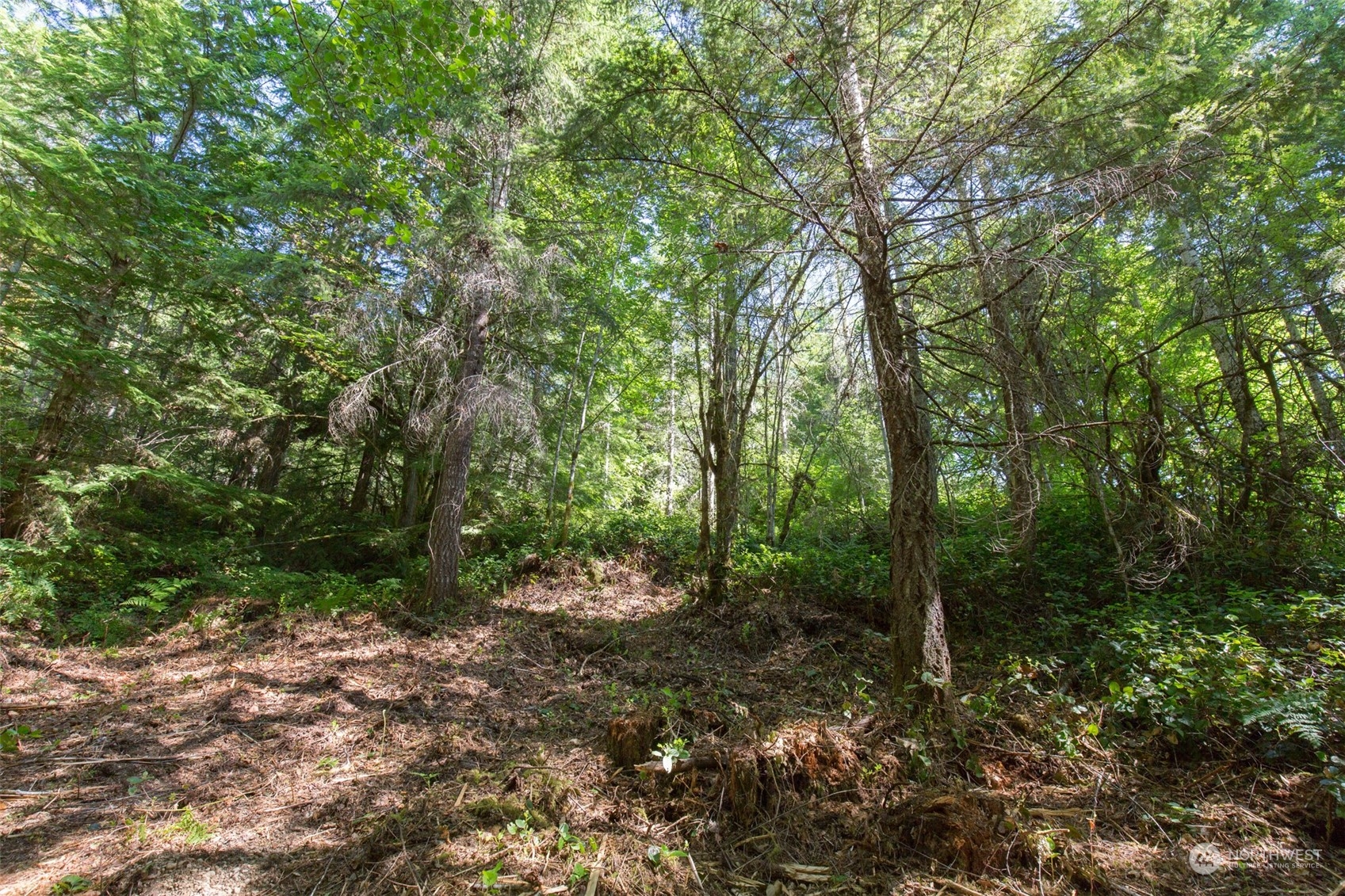 9999 East Beach Road Port Angeles, WA 98363 - Photo 11 of 31 Gallery Image 11