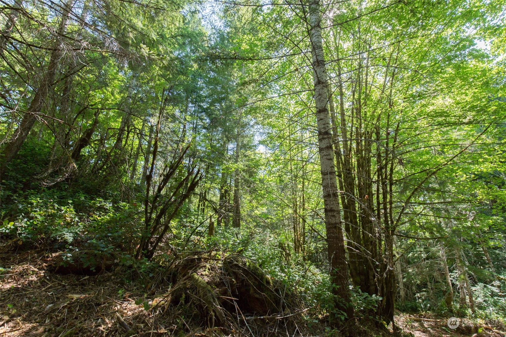 9999 East Beach Road Port Angeles, WA 98363 - Photo 12 of 31 Gallery Image 12