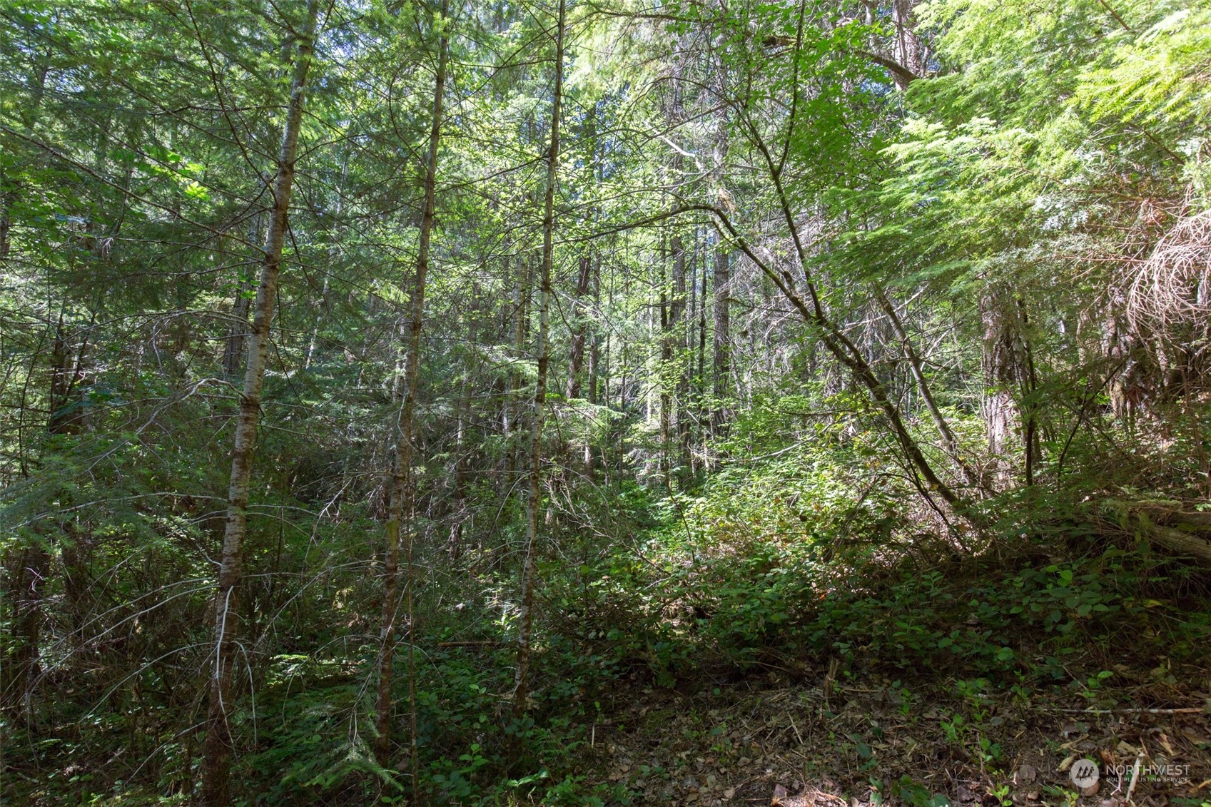 9999 East Beach Road Port Angeles, WA 98363 - Photo 13 of 31 Gallery Image 13