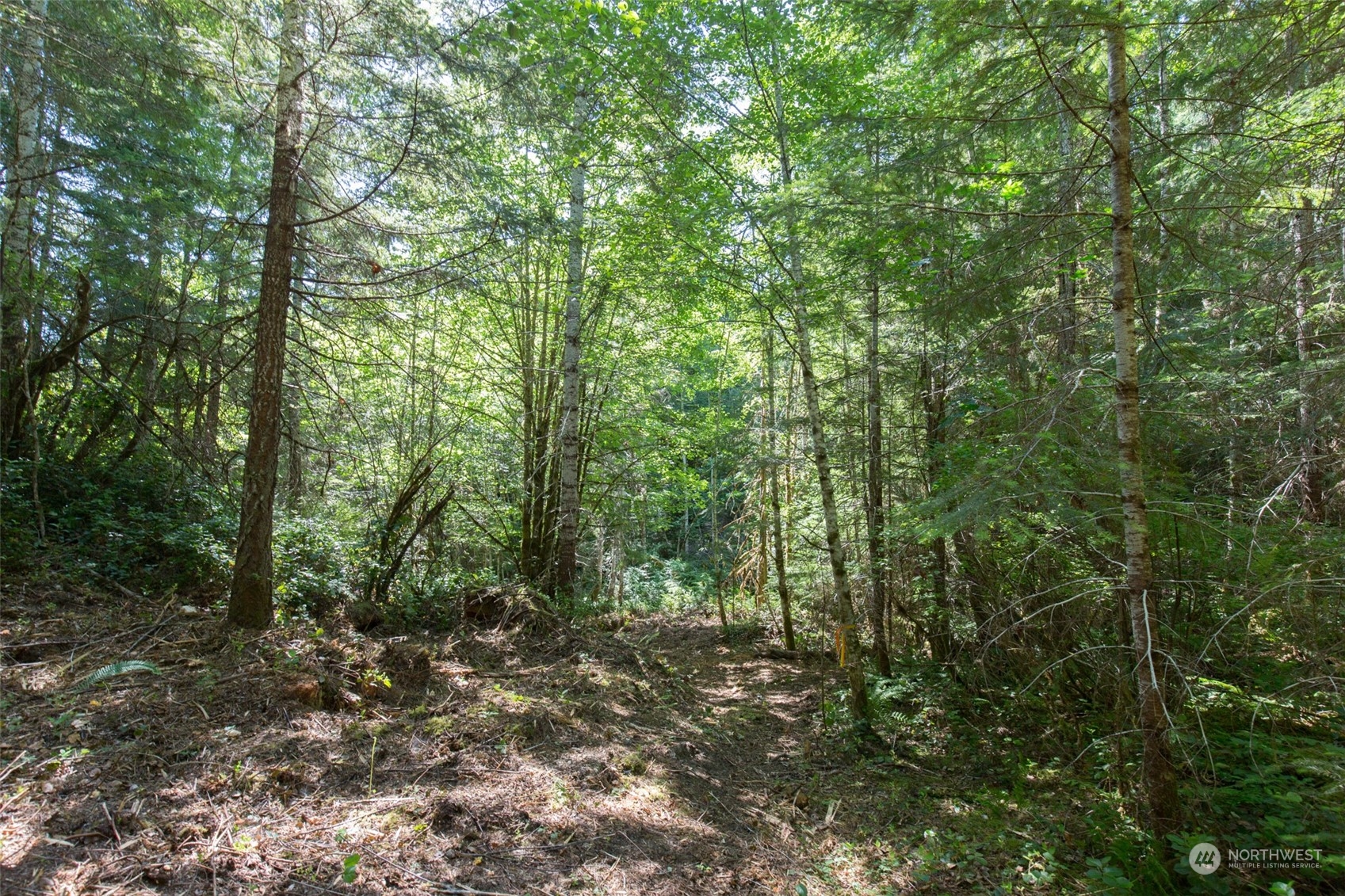 9999 East Beach Road Port Angeles, WA 98363 - Photo 14 of 31 Gallery Image 14