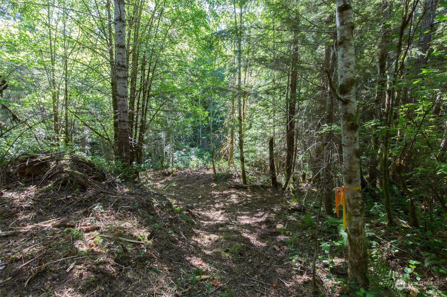 9999 East Beach Road Port Angeles, WA 98363 - Photo 15 of 31 Gallery Image 15
