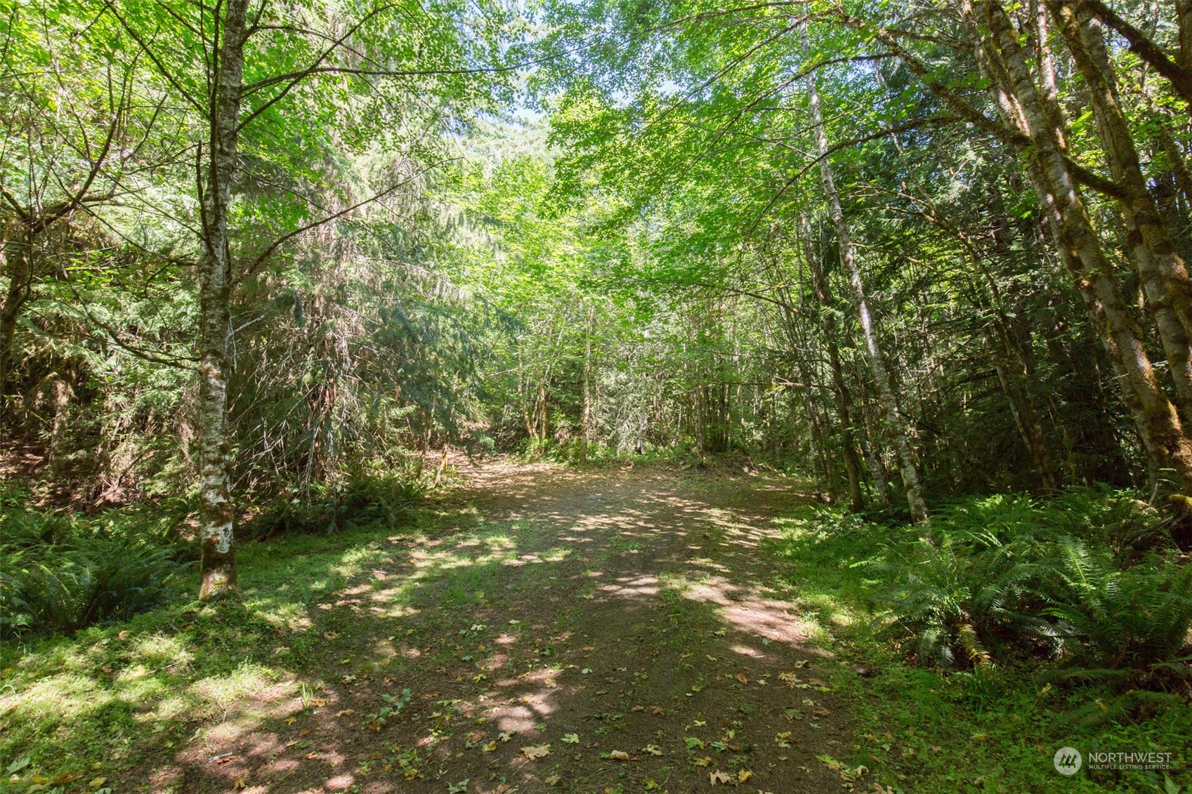 9999 East Beach Road Port Angeles, WA 98363 - Photo 20 of 31 Gallery Image 20