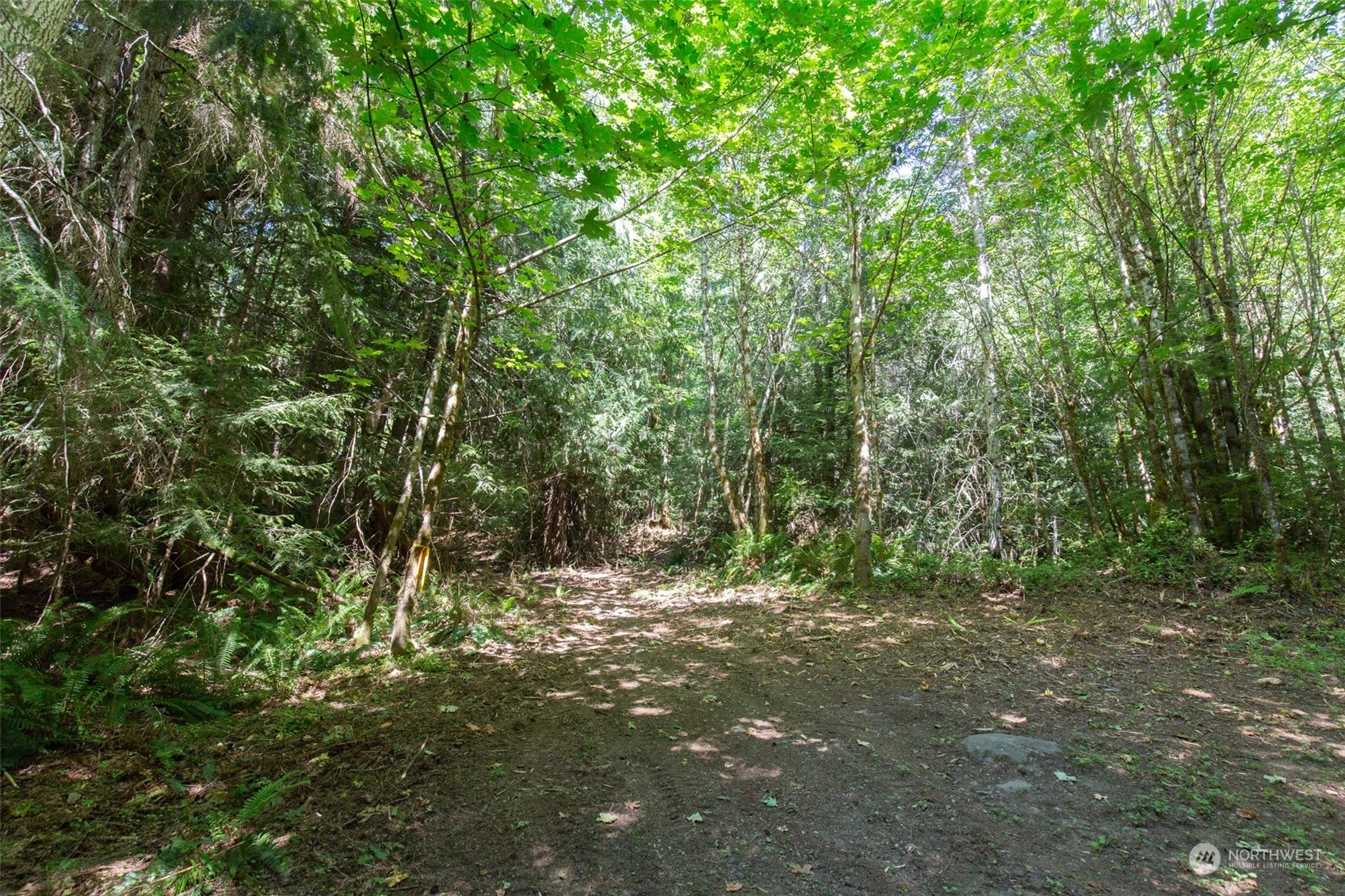 9999 East Beach Road Port Angeles, WA 98363 - Photo 21 of 31 Gallery Image 21