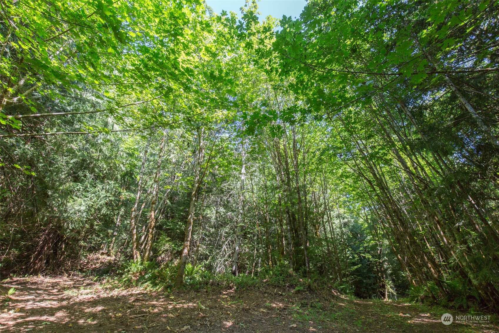 9999 East Beach Road Port Angeles, WA 98363 - Photo 23 of 31 Gallery Image 23