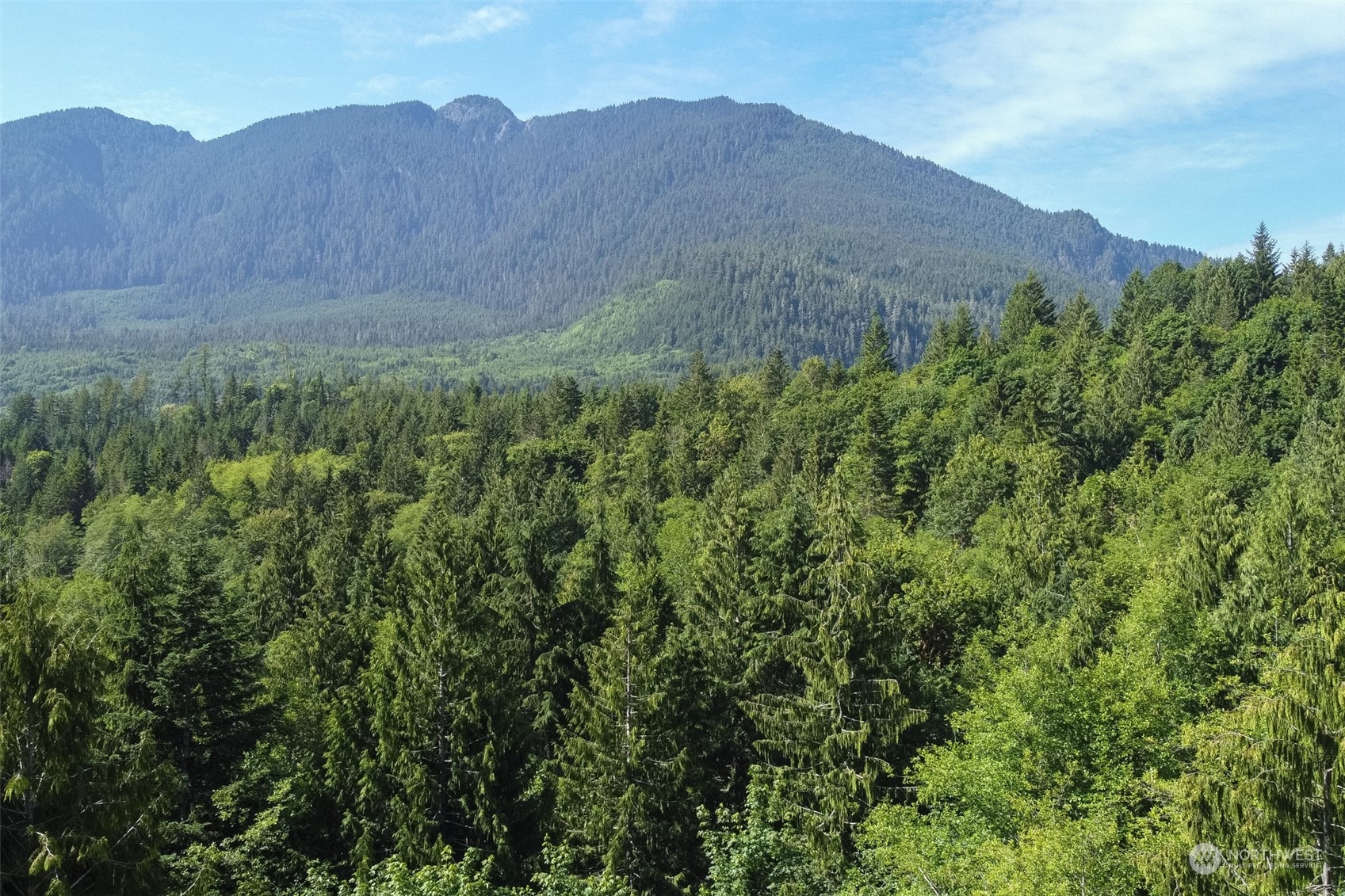 9999 East Beach Road Port Angeles, WA 98363 - Photo 25 of 31 Gallery Image 25