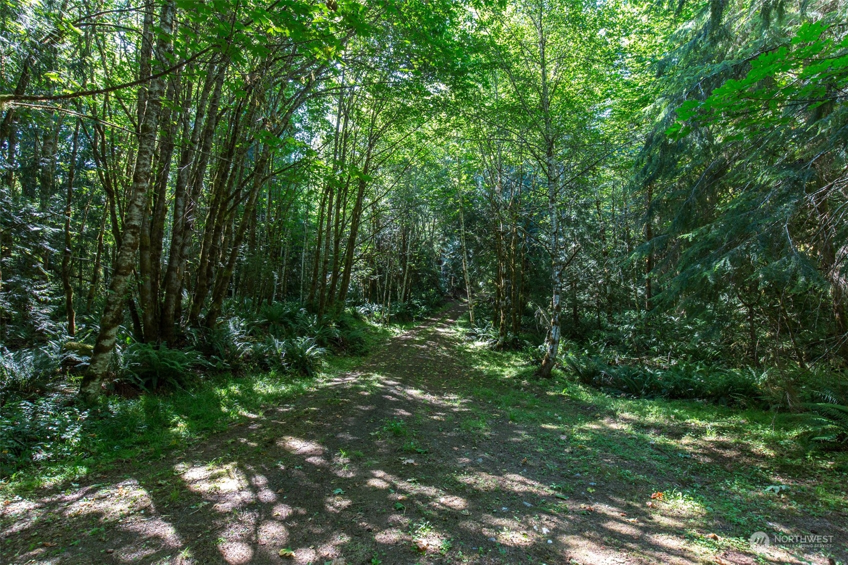 9999 East Beach Road Port Angeles, WA 98363 - Photo 4 of 31 Gallery Image 4