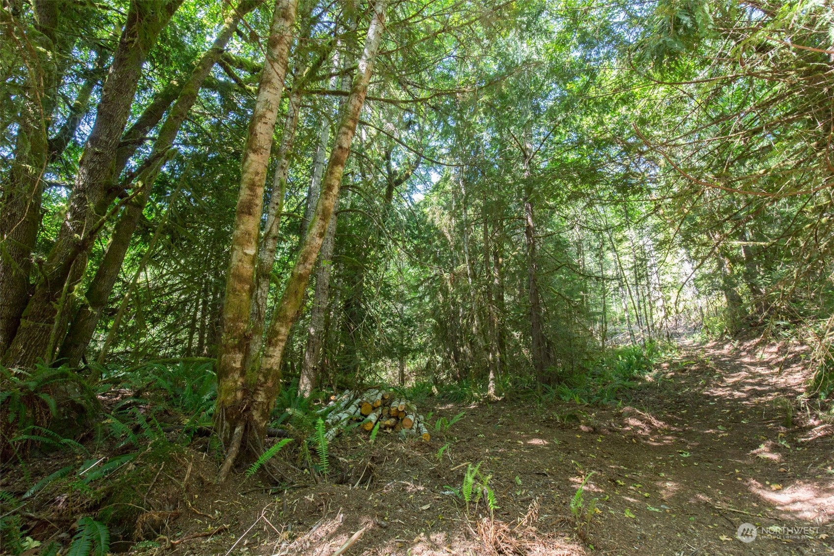 9999 East Beach Road Port Angeles, WA 98363 - Photo 5 of 31 Gallery Image 5
