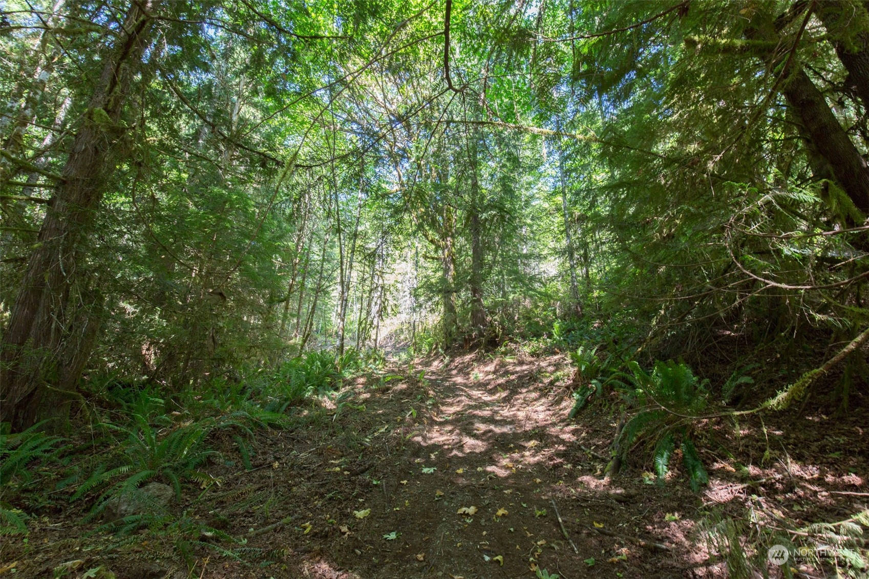 9999 East Beach Road Port Angeles, WA 98363 - Photo 6 of 31 Gallery Image 6