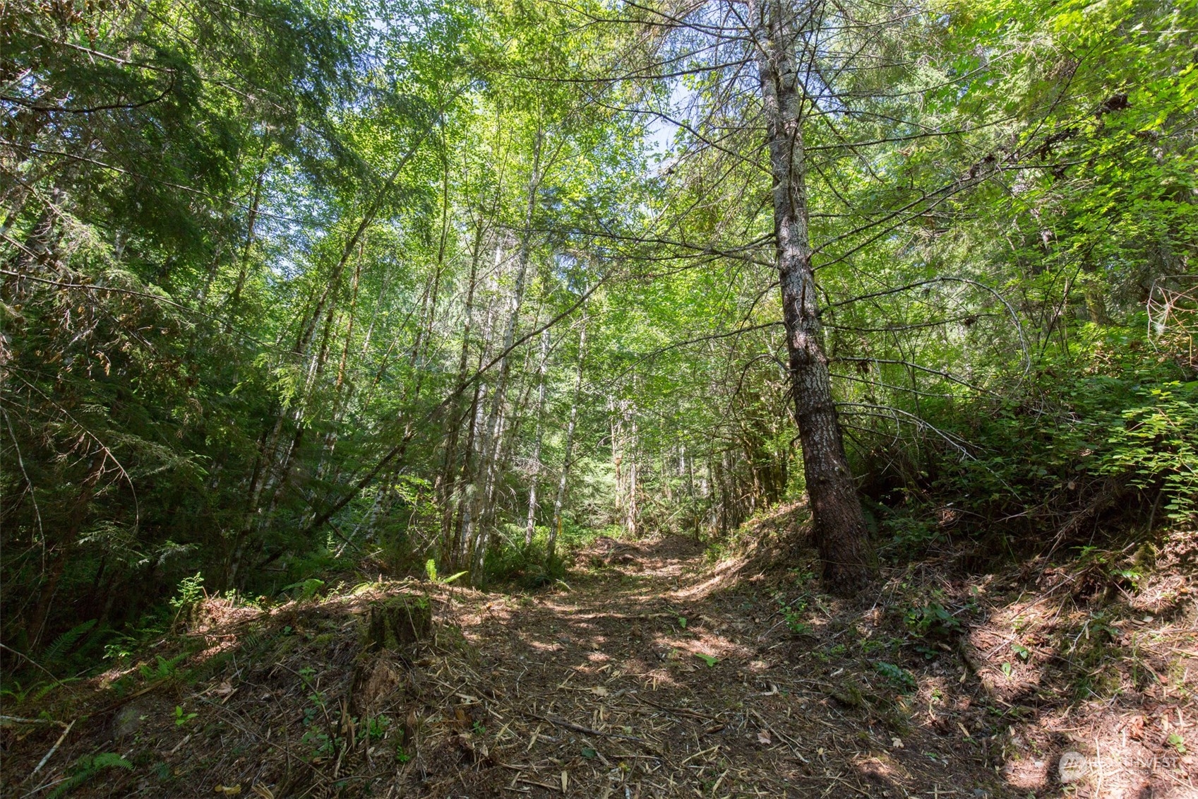 9999 East Beach Road Port Angeles, WA 98363 - Photo 8 of 31 Gallery Image 8