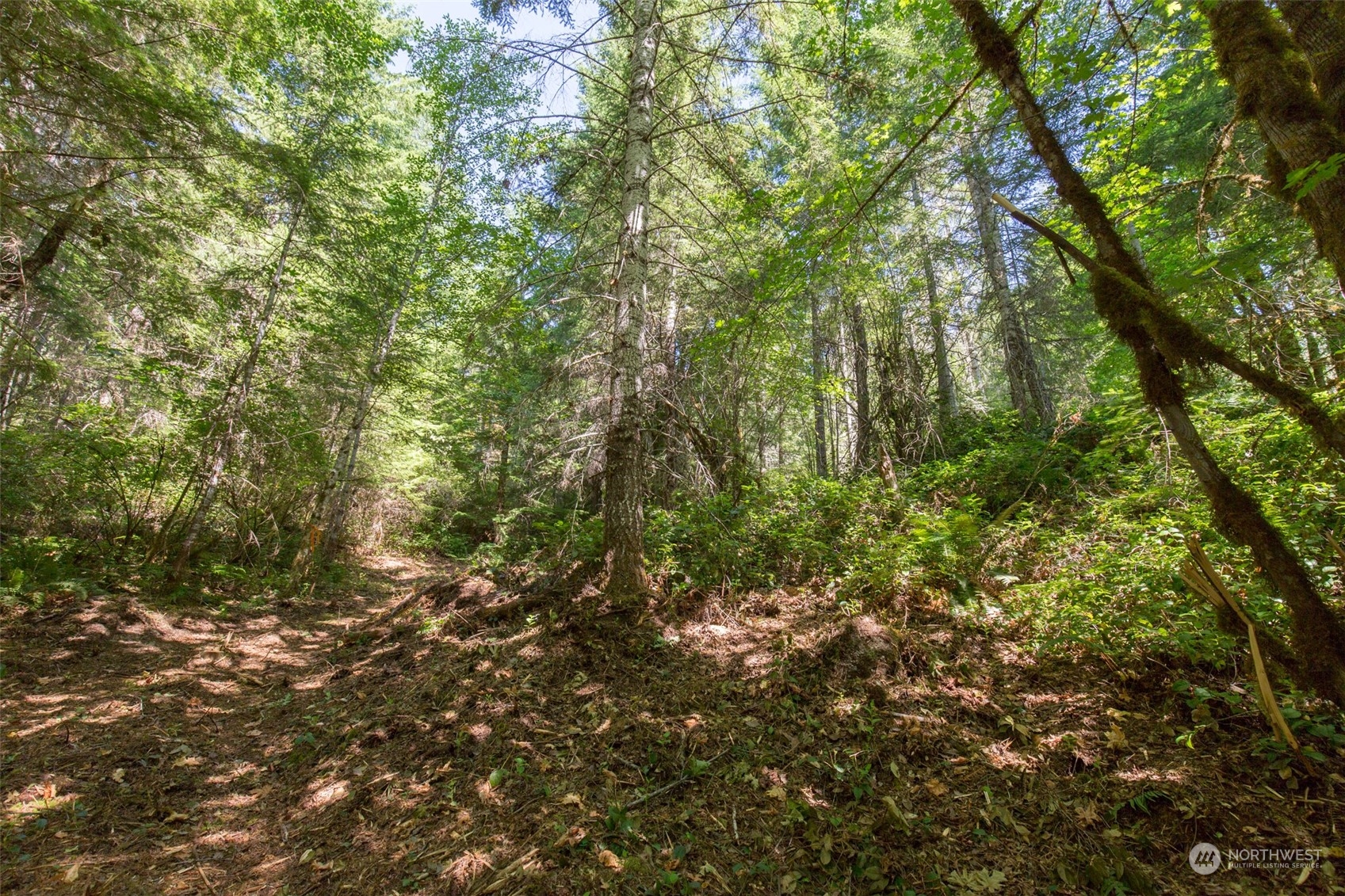 9999 East Beach Road Port Angeles, WA 98363 - Photo 10 of 31 Gallery Image 10