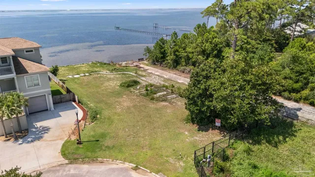 an aerial view of a house with a yard and plants