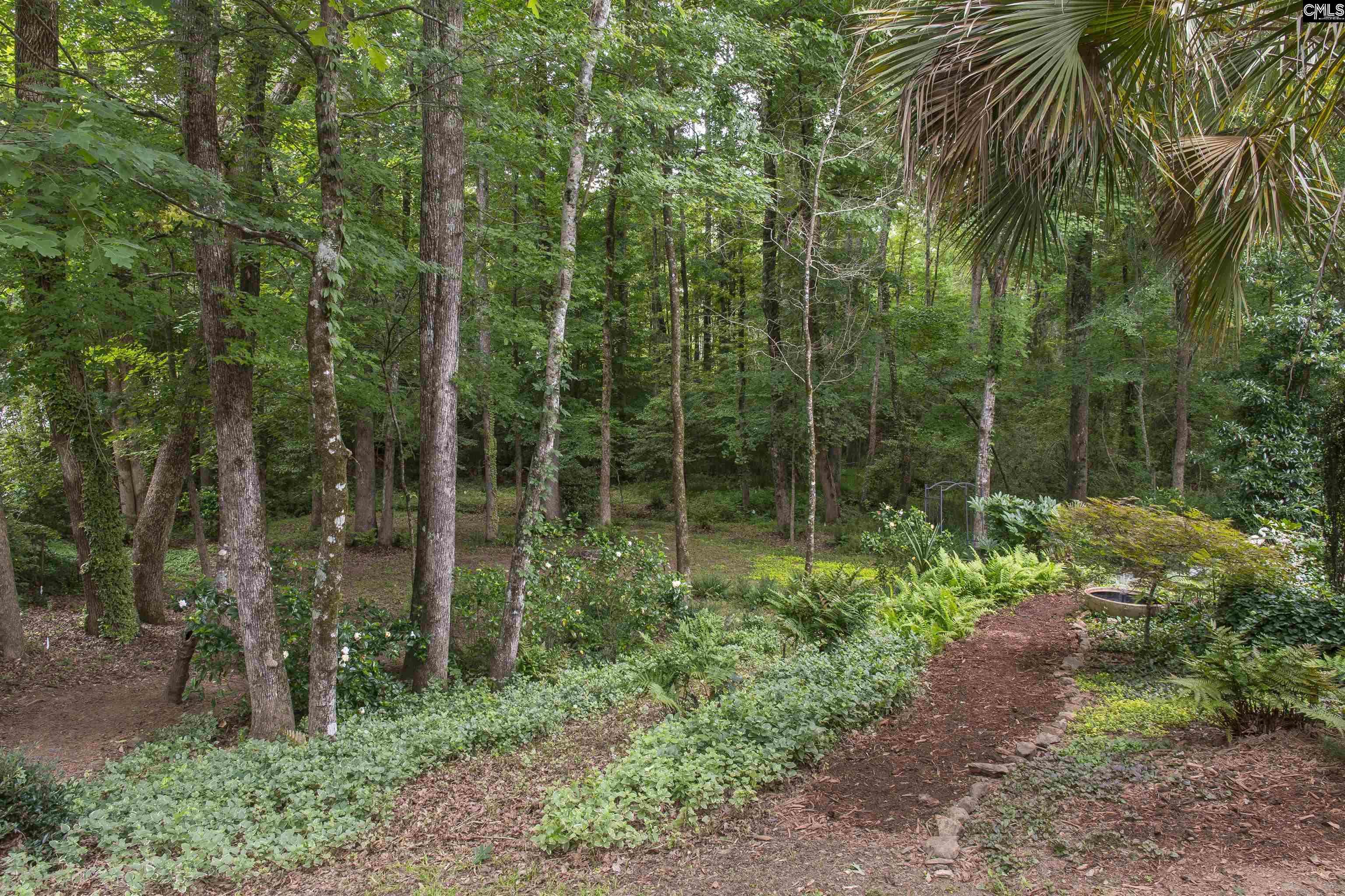 101 Woolbright Avenue Chapin, SC 29036 - Photo 53 of 61