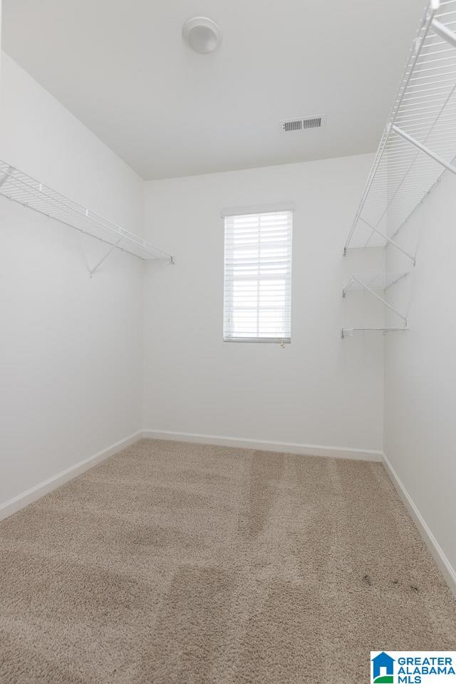 1056 Park View Drive Chelsea, AL 35043 - Photo 18 of 32