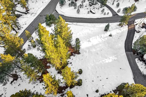 a close up of a vase of flowers