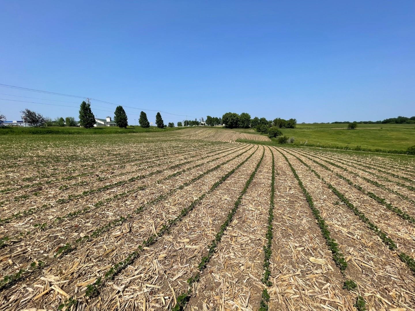 23 Highway 23 Mineral Point, WI 53565 - Photo 2 of 8