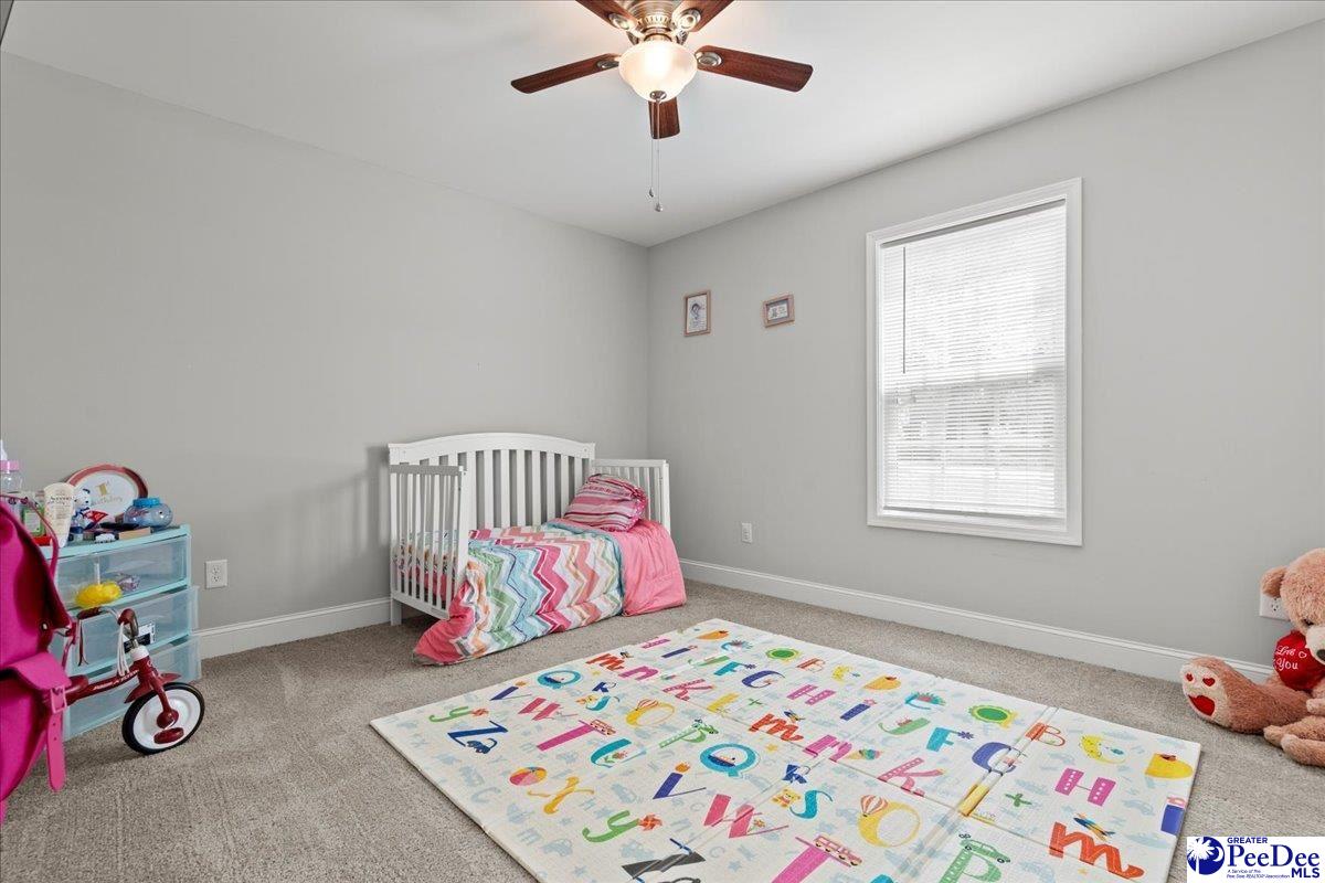 309 Pocosin Road Latta, SC 29565 - Photo 15 of 26 Gallery Image 15