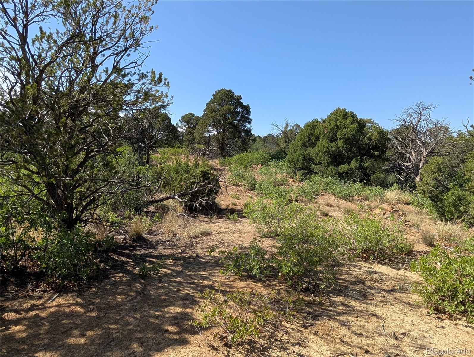 Fishers Peak Ranch Trinidad, CO 81082 - Photo 10 of 34