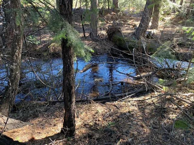 $113,500 | Lot 34 Princess Pine, Shingletown, CA 96088