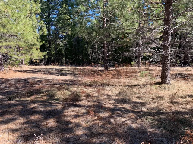 $113,500 | Lot 34 Princess Pine, Shingletown, CA 96088