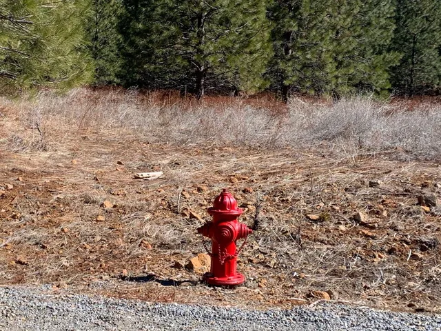 $113,500 | Lot 34 Princess Pine, Shingletown, CA 96088