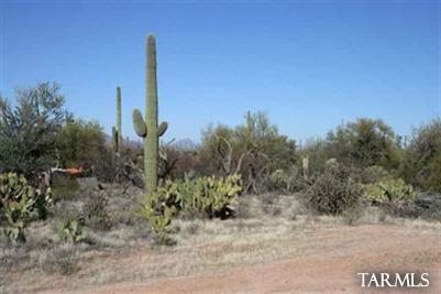 12158 West Skyrocket Road Tucson, AZ 85743 - Photo 7 of 8