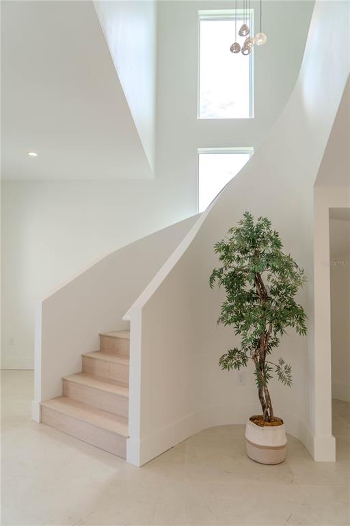 4502 South Shamrock Road Tampa, FL 33611 - Photo 8 of 41 a vase of flowers sitting on a table