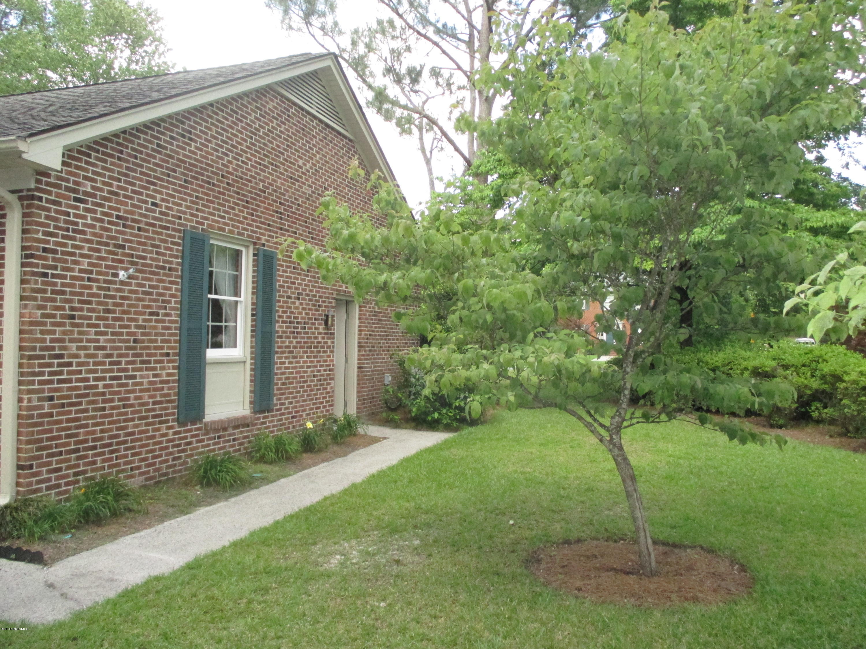 302 Windsor Road Greenville, NC 27858 - Photo 32 of 39 Side Garage Entry