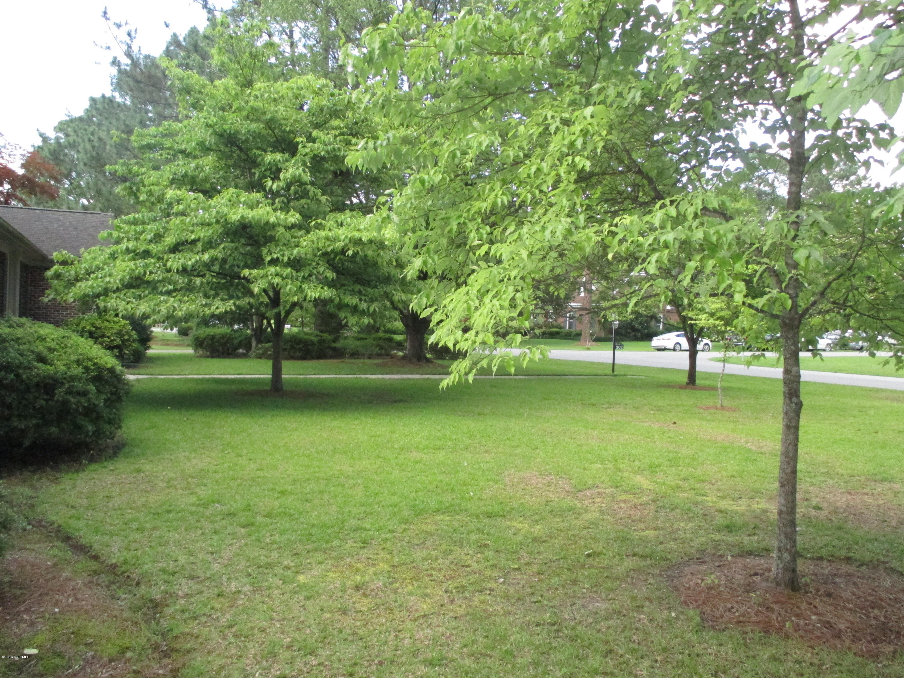 302 Windsor Road Greenville, NC 27858 - Photo 33 of 39 Front Yard View