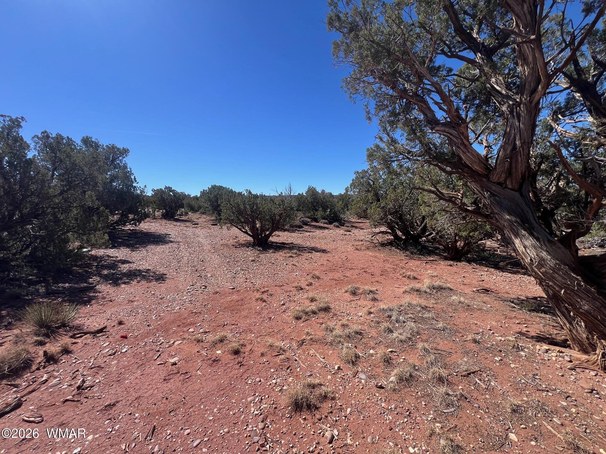 4252 Colt Road Snowflake, AZ 85937 - Photo 18 of 28