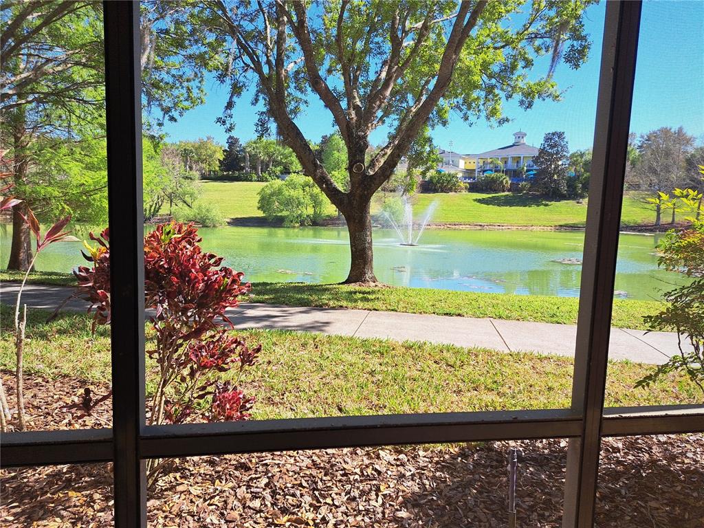 a view of lake from a window