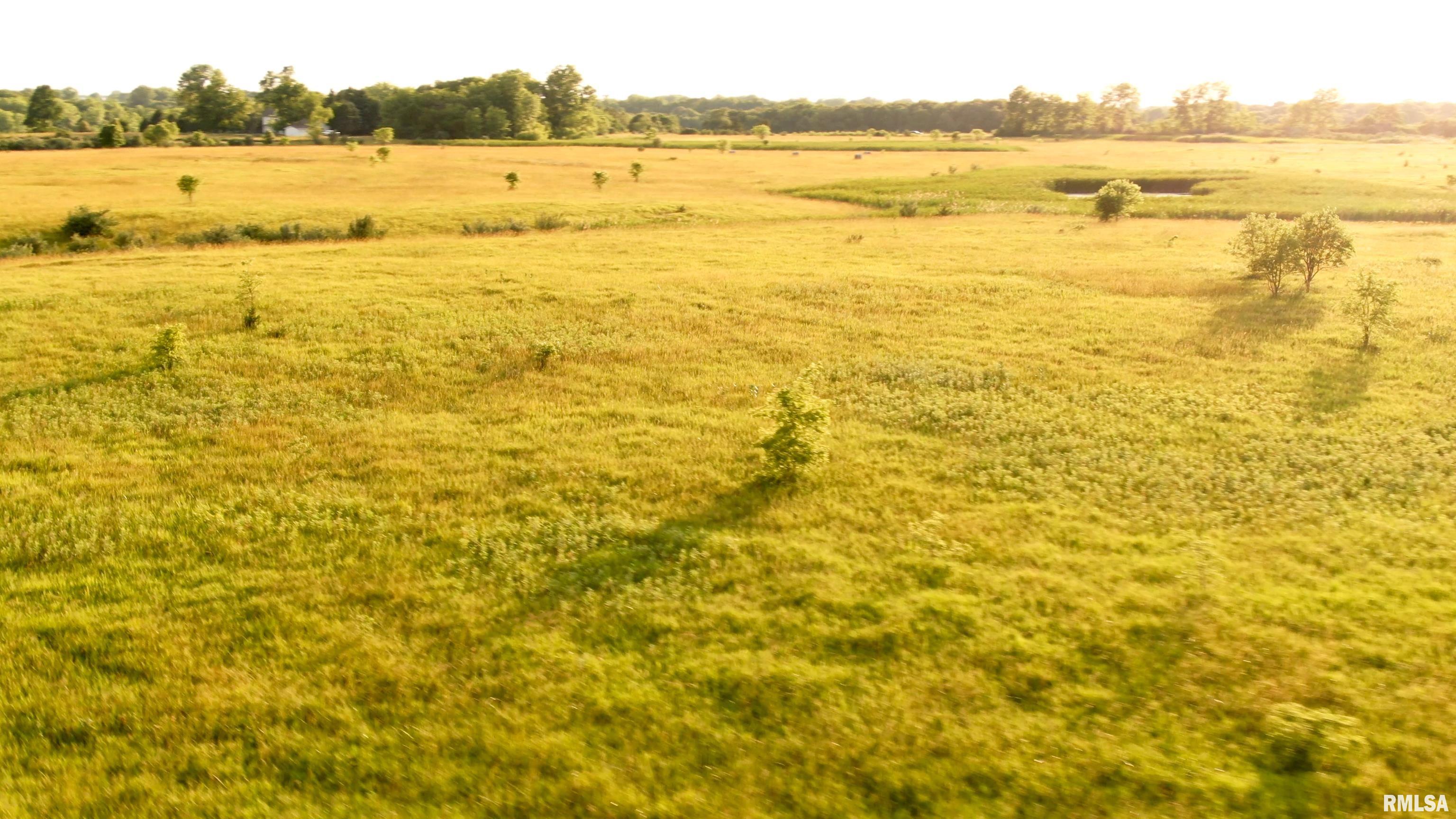 0 Bartholomew Lane Elmwood, IL 61529 - Photo 11 of 14