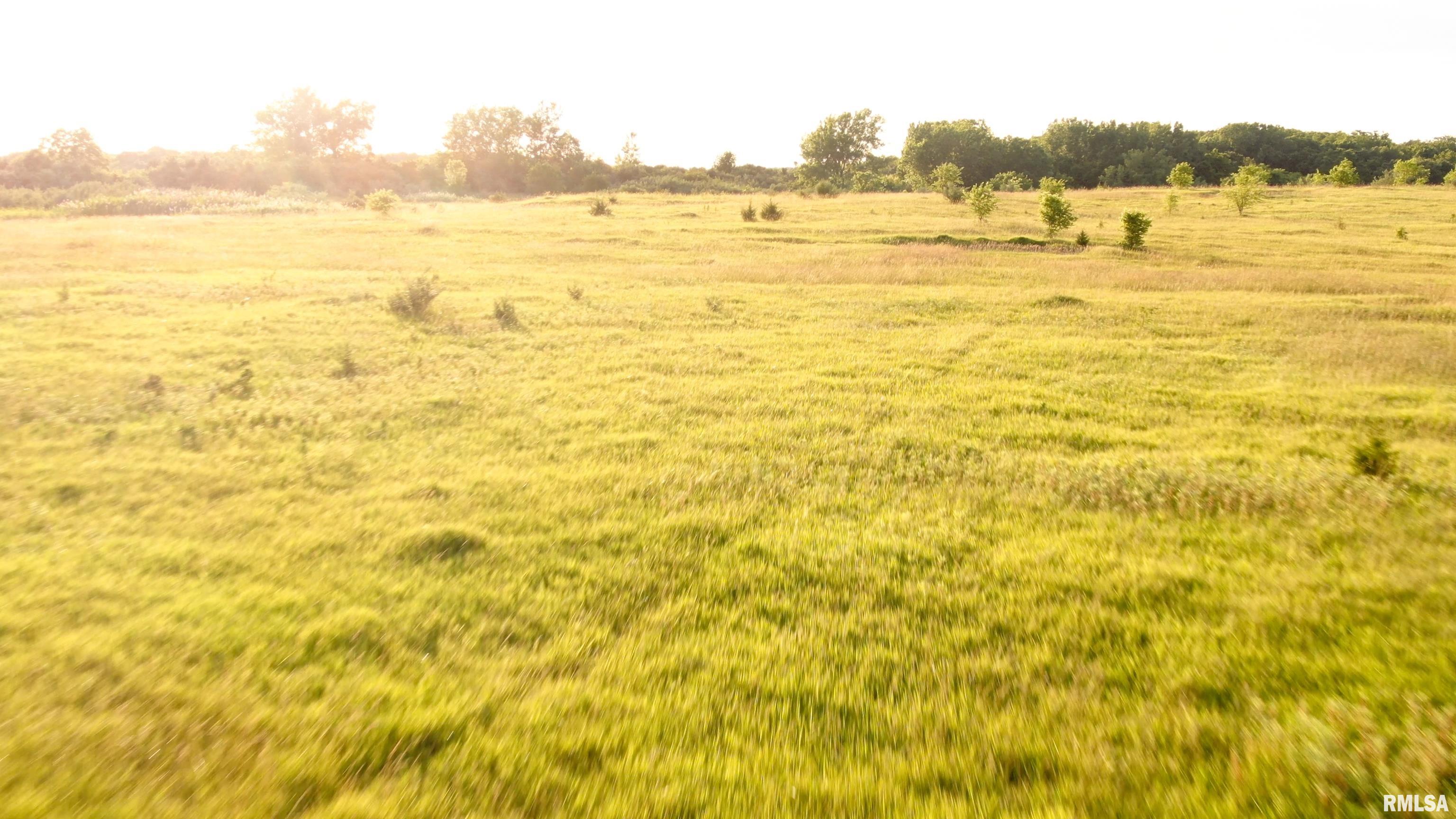 0 Bartholomew Lane Elmwood, IL 61529 - Photo 12 of 14