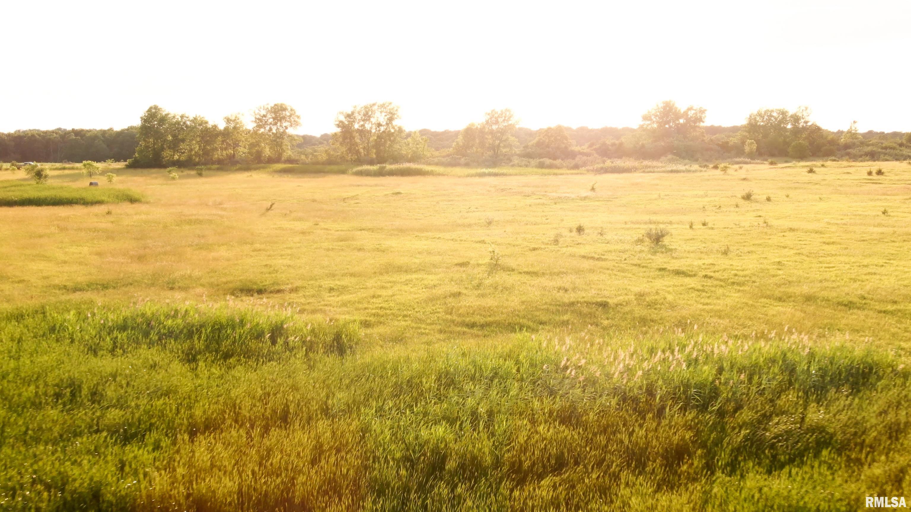 0 Bartholomew Lane Elmwood, IL 61529 - Photo 13 of 14