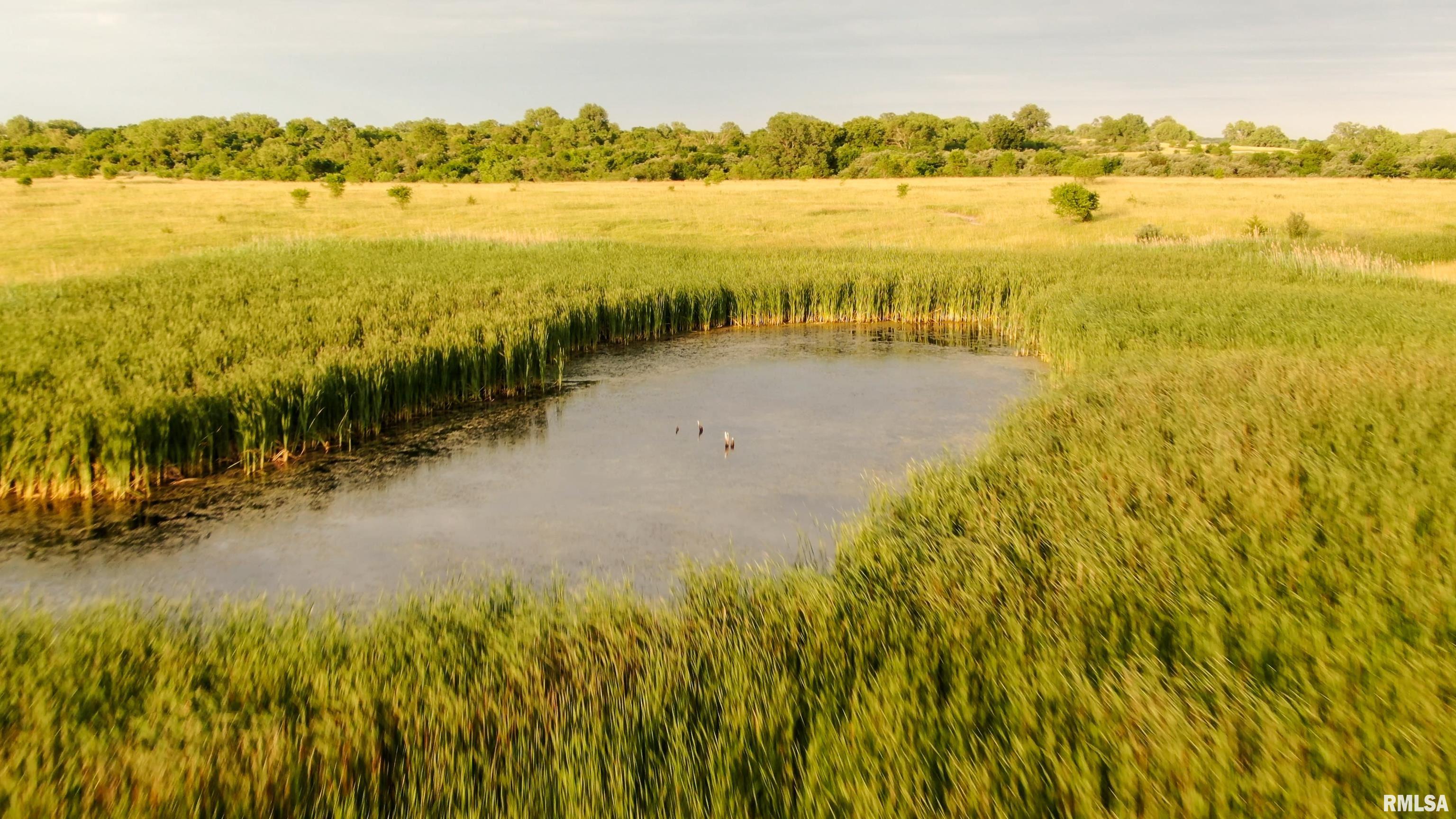 0 Bartholomew Lane Elmwood, IL 61529 - Photo 7 of 14