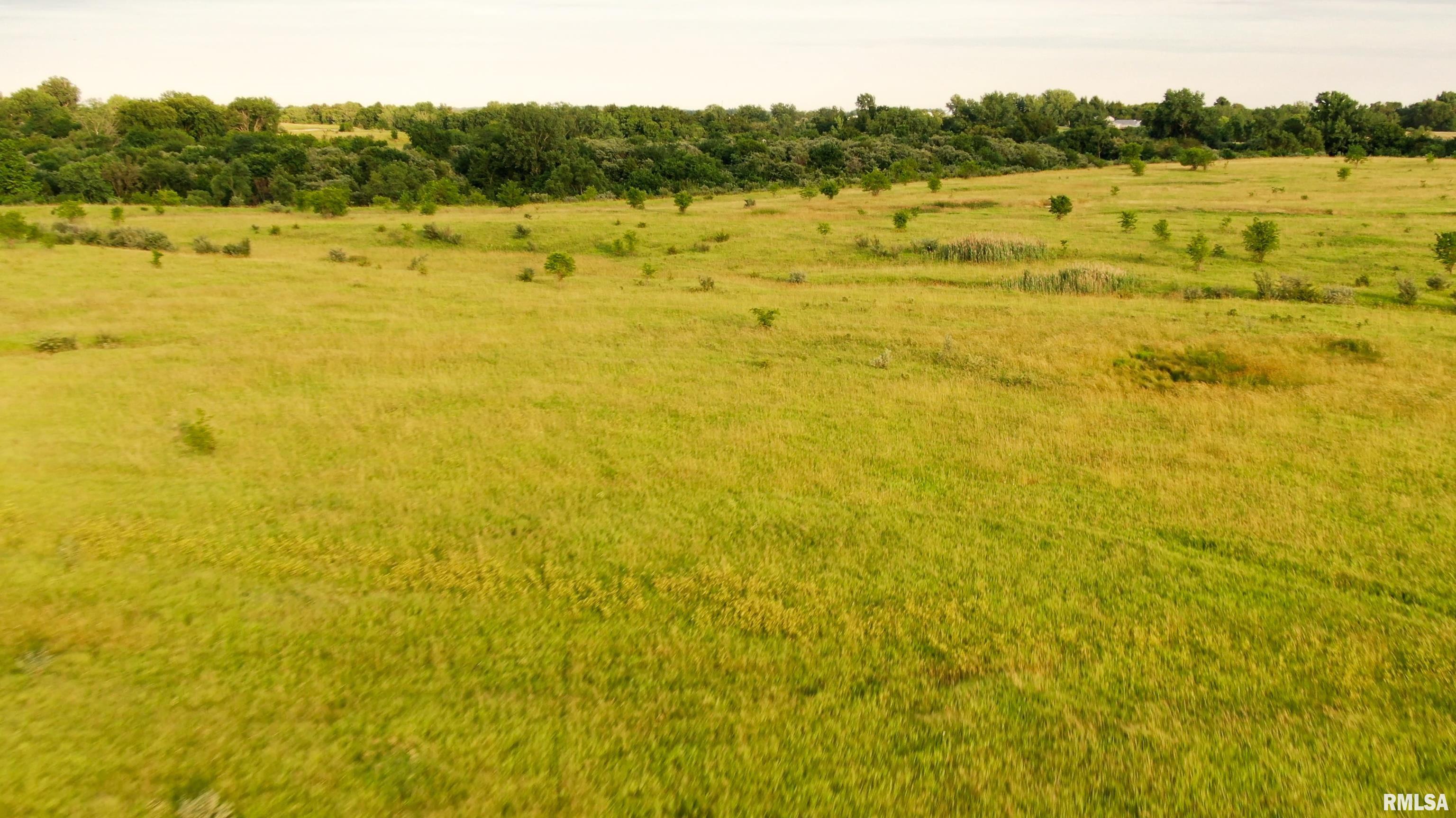 0 Bartholomew Lane Elmwood, IL 61529 - Photo 10 of 14