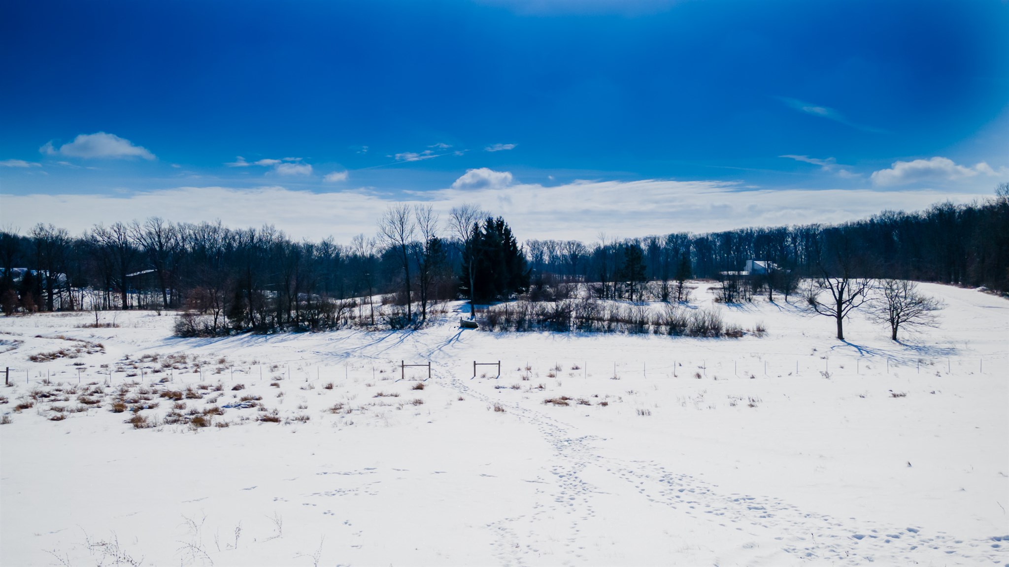 7402 Garman Road Auburn, IN 46706 - Photo 10 of 17