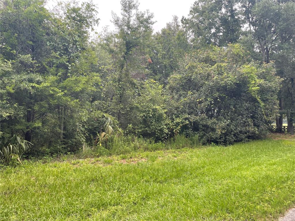 3805 Southwest State Rd 45  