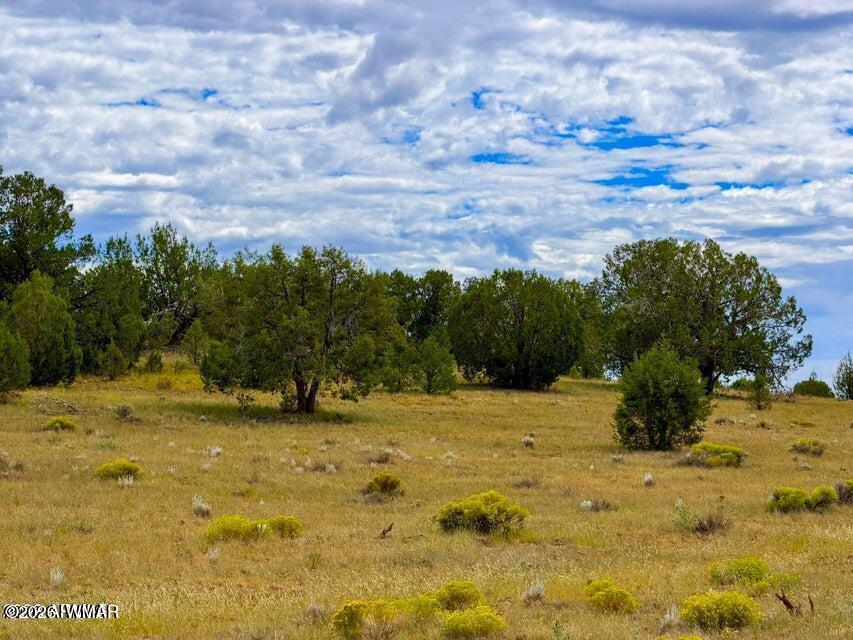 0 Dusty Rose Ranch Road Seligman, AZ 86337 - Photo 7 of 20 Gallery Image 7