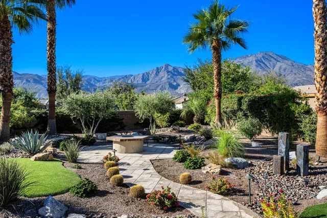 a view of a backyard with plants and a patio