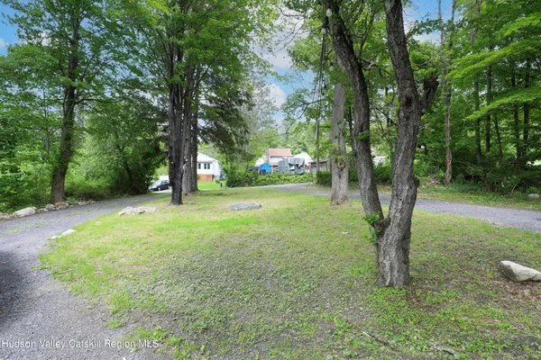 a view of a trees with a backyard