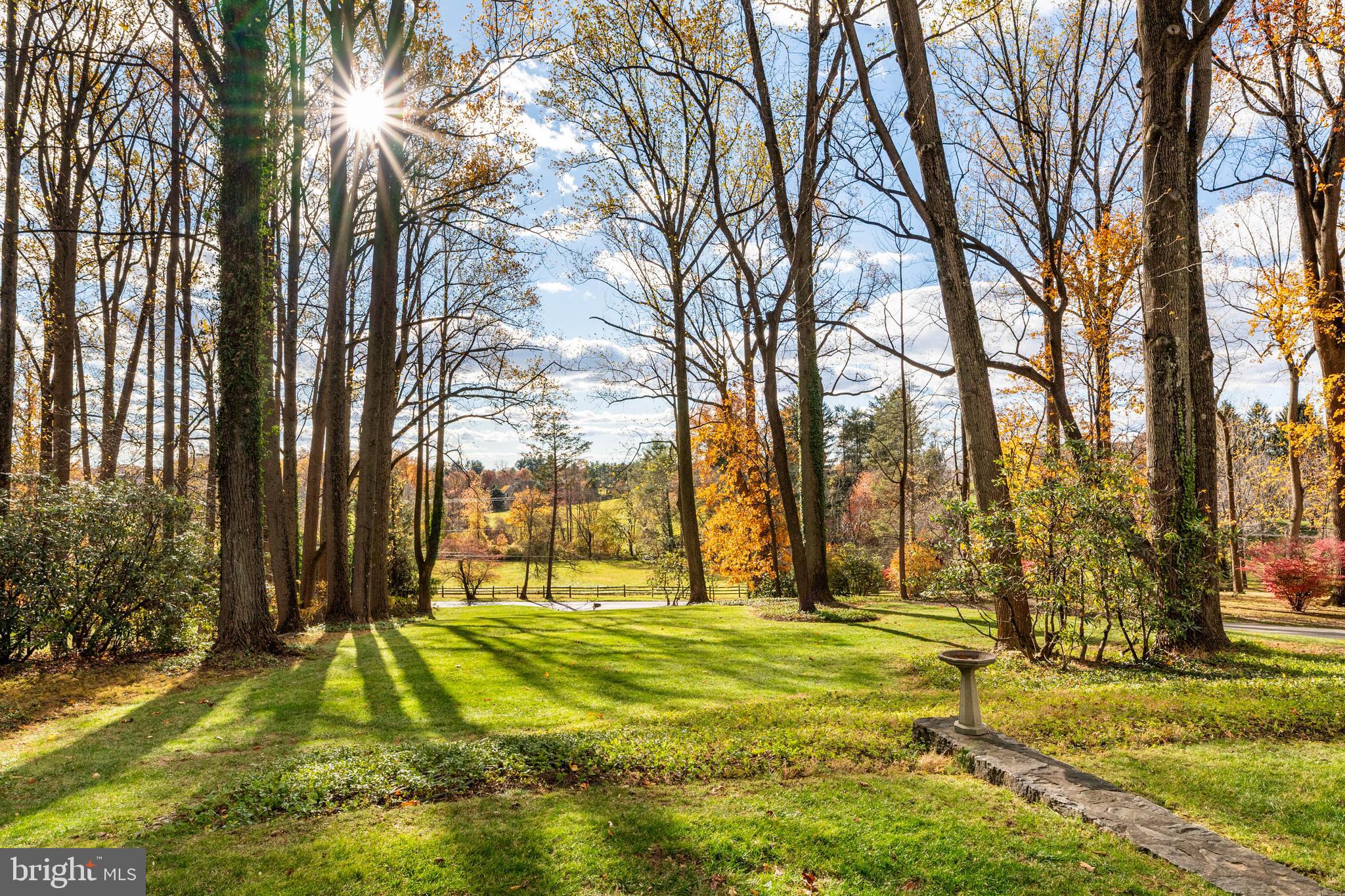188 Abrahams Lane Villanova, PA 19085 - Photo 5 of 49 a view of yard with trees