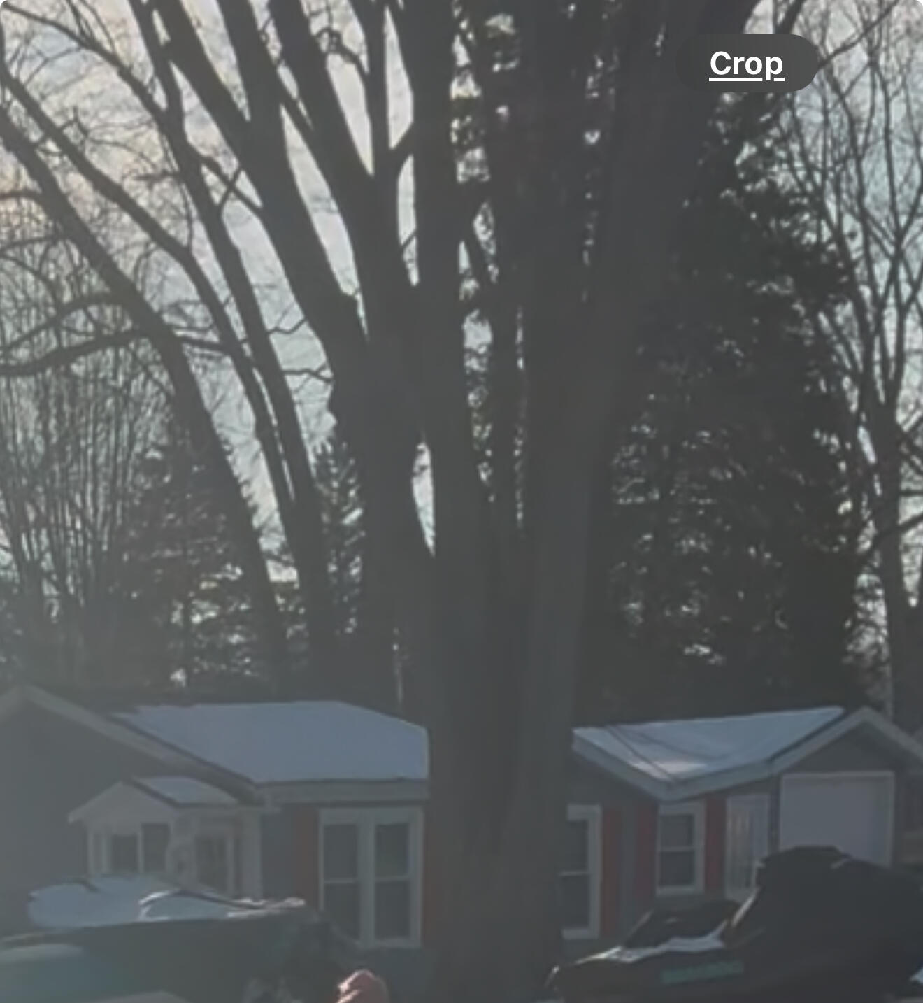 4220 Pleasant Street Delavan, WI 53115 - Photo 3 of 5 02