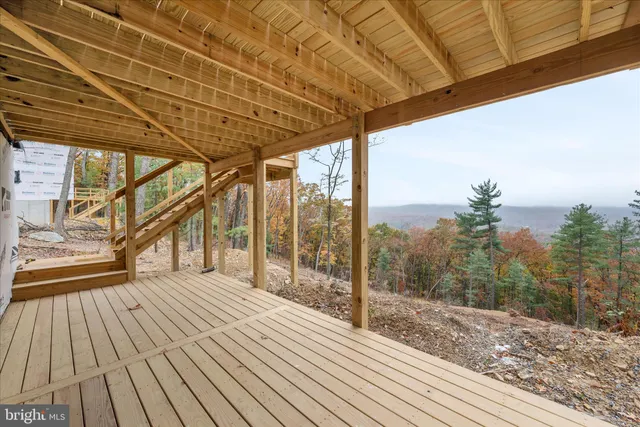 a view of a forest filled with trees