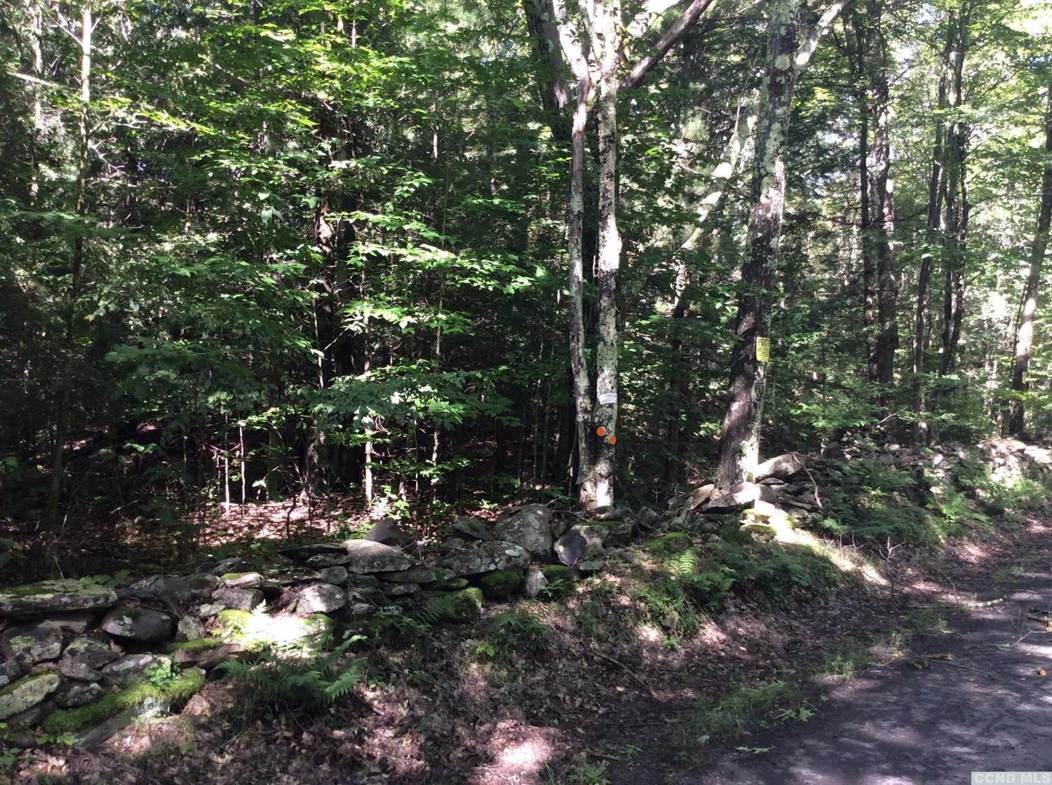 749 Mail Rte Road Ashland, NY 12468 - Photo 8 of 10 Photo 8