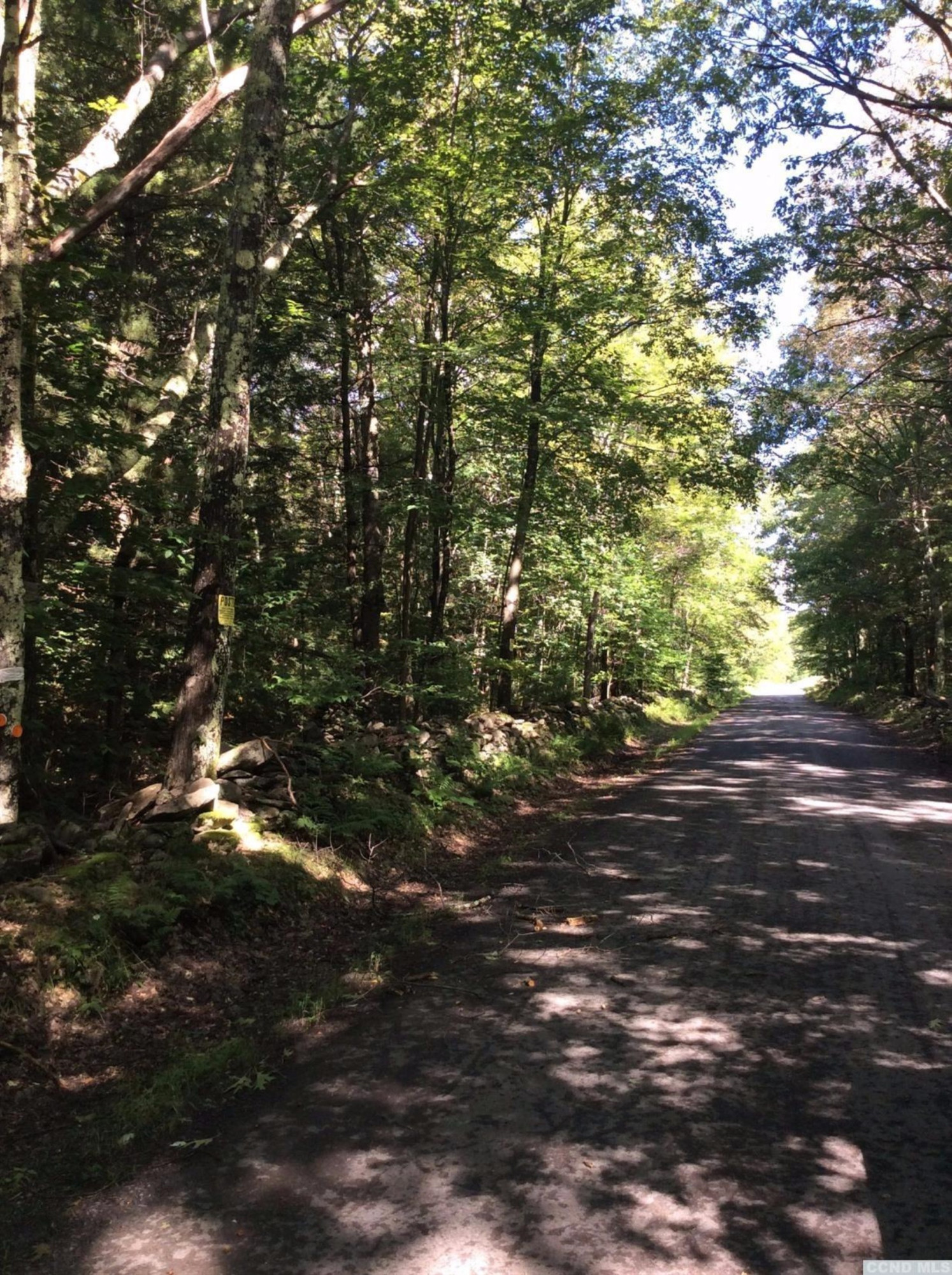 749 Mail Rte Road Ashland, NY 12468 - Photo 9 of 10 Photo 9