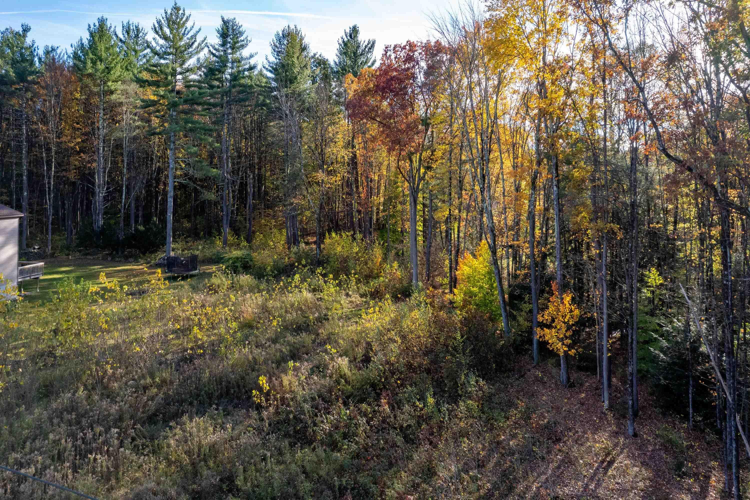 27 Gailor Road Wilton, NY 12831 - Photo 7 of 11 Land is level and ready to build