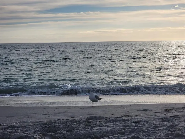 $464,500 | 15140 Lyneburg Avenue, Port Charlotte, FL 33981