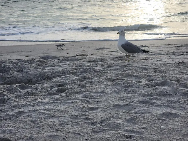 $464,500 | 15140 Lyneburg Avenue, Port Charlotte, FL 33981