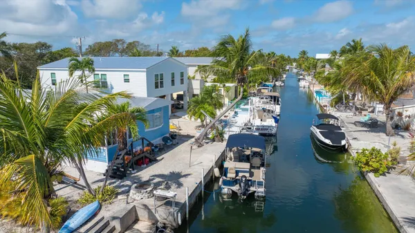 a picture of flowers