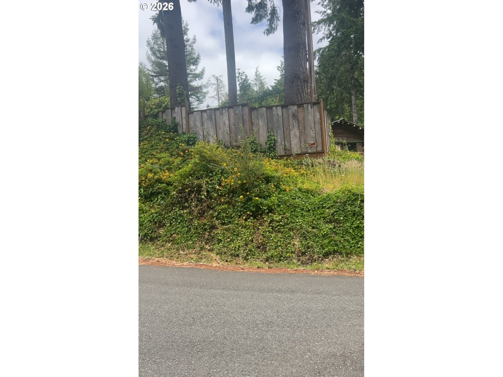 67535 North Bay Road North Bend, OR 97459 - Photo 8 of 9